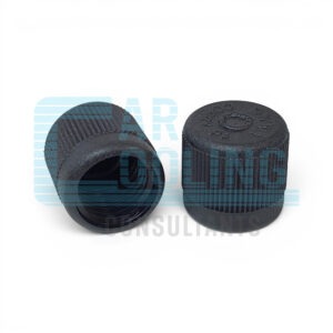 SERVICE PORT CAP 1/4 SAE R12