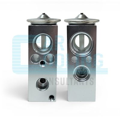 EXPANSION VALVE CHEV CAPTIVA 2007 (ST/WAS)/O RING