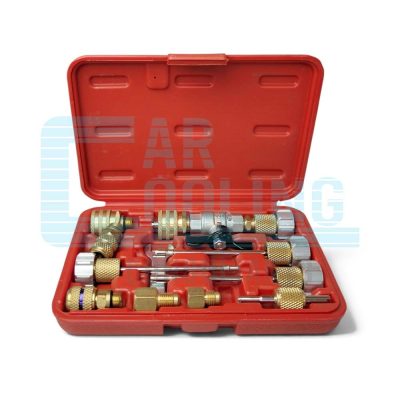 VALVE REMOVER KIT (GAS IN SYSTEM)